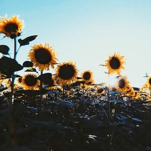 Meet your Posher, Kaylyn